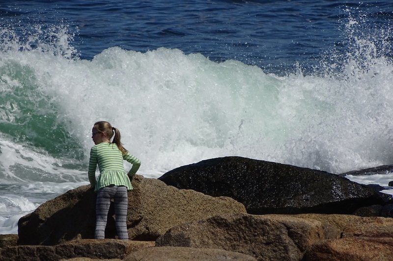 Poetic trifecta: Artistic trio unites to honor the influence of Mary Oliver